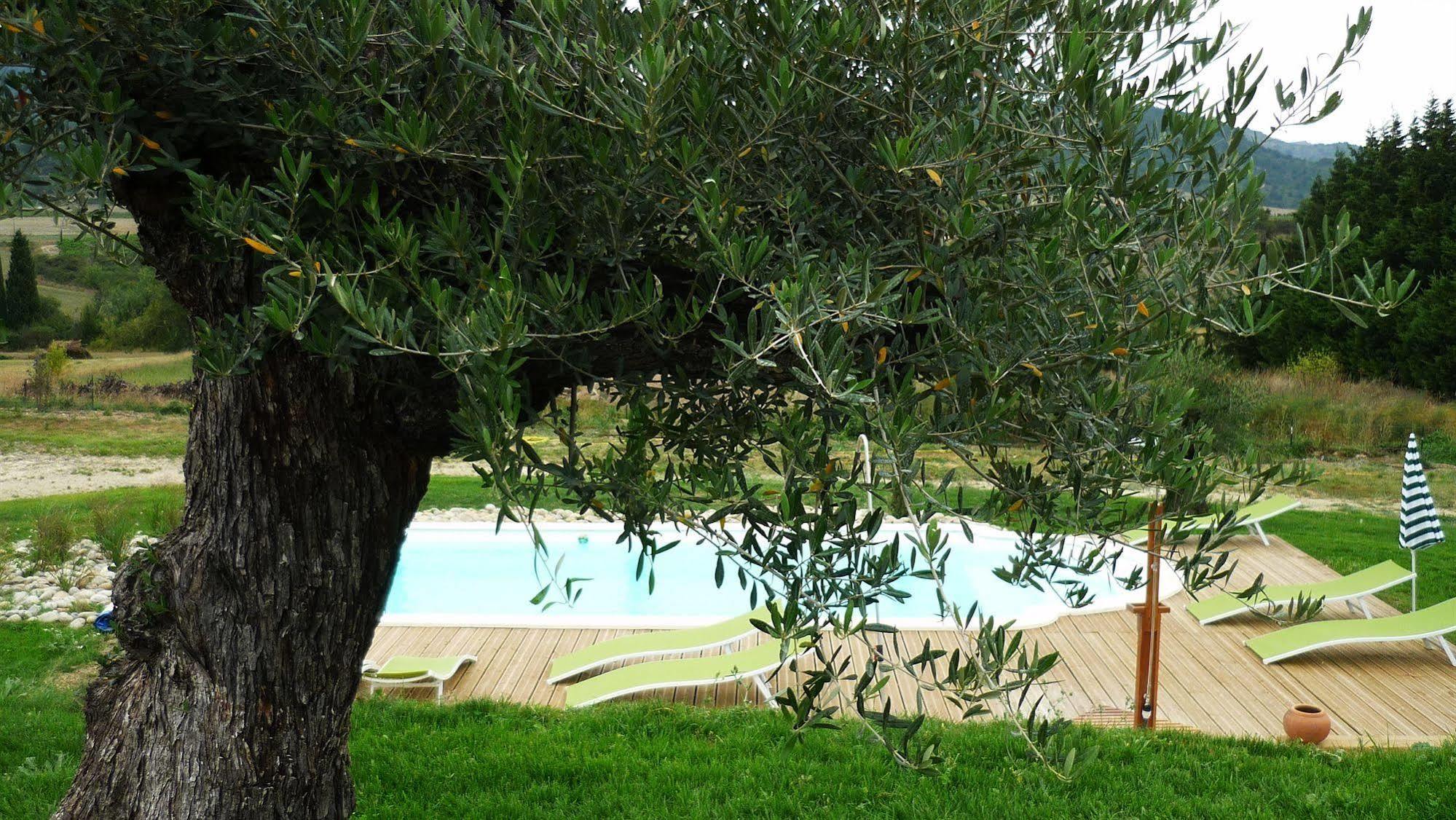 Bed and Breakfast Relais de l'alsou- jacuzzi chauffé piscine à Labastide-en-Val Extérieur photo